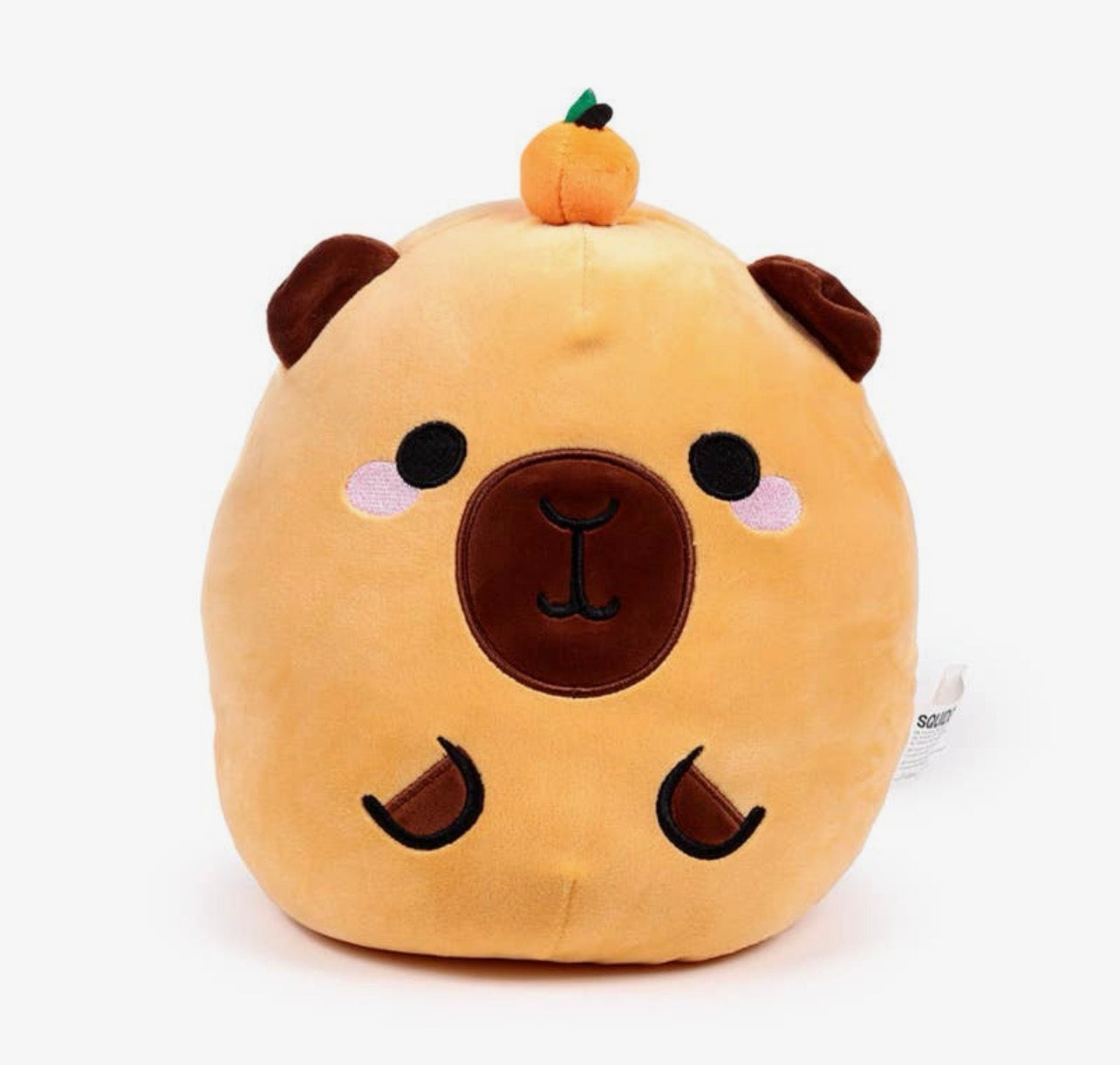 Squidgy Capybara Plush Toy – 26cm