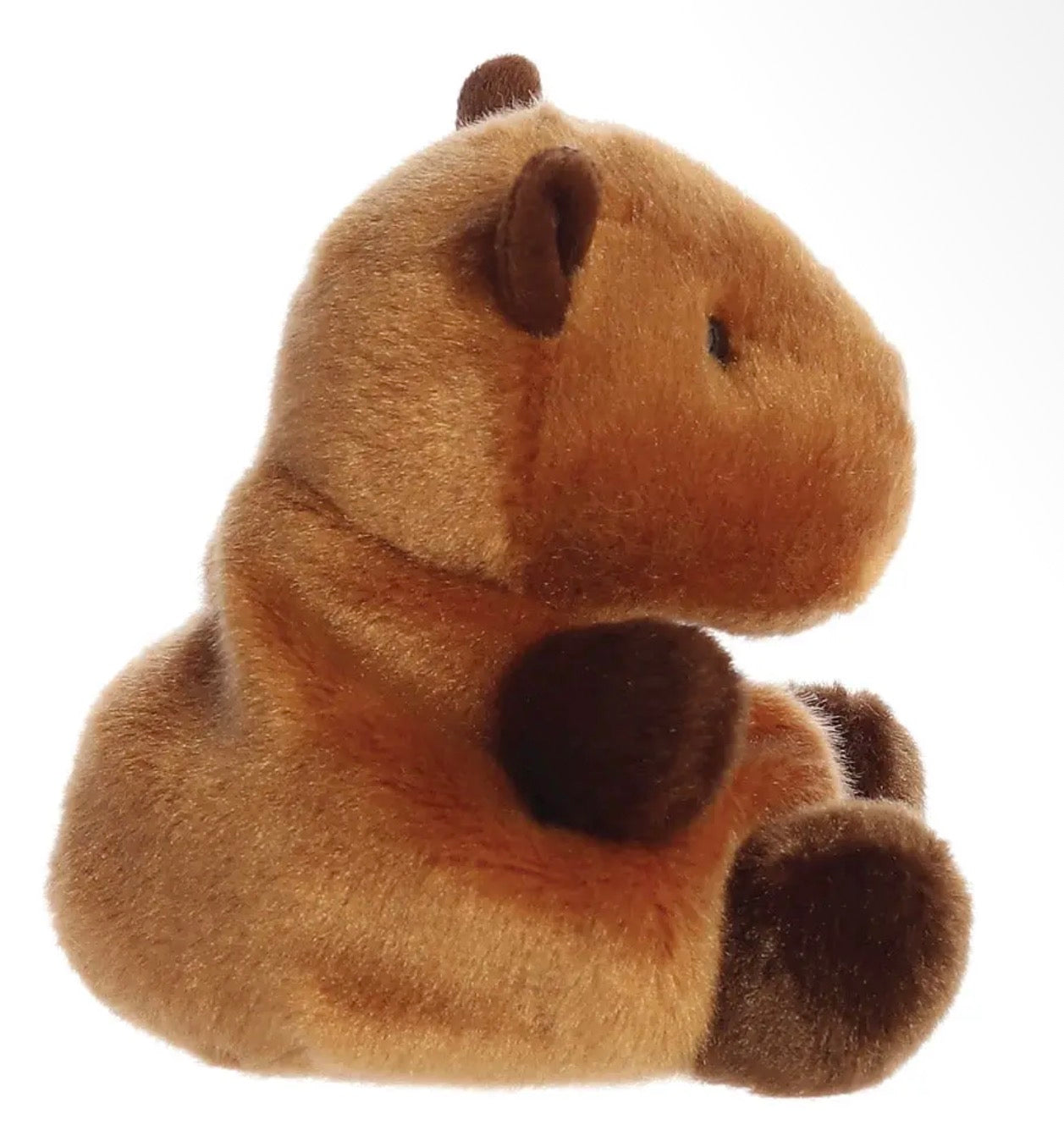 Palm Pals Sid Capybara Soft Toy