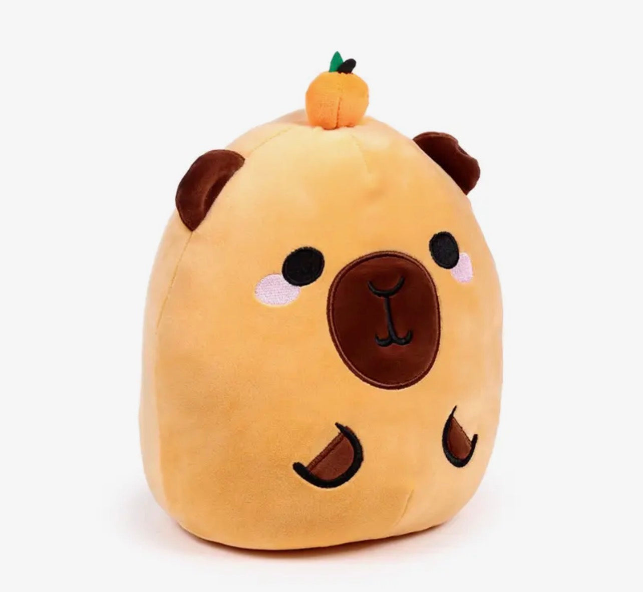 Squidgy Capybara Plush Toy – 26cm