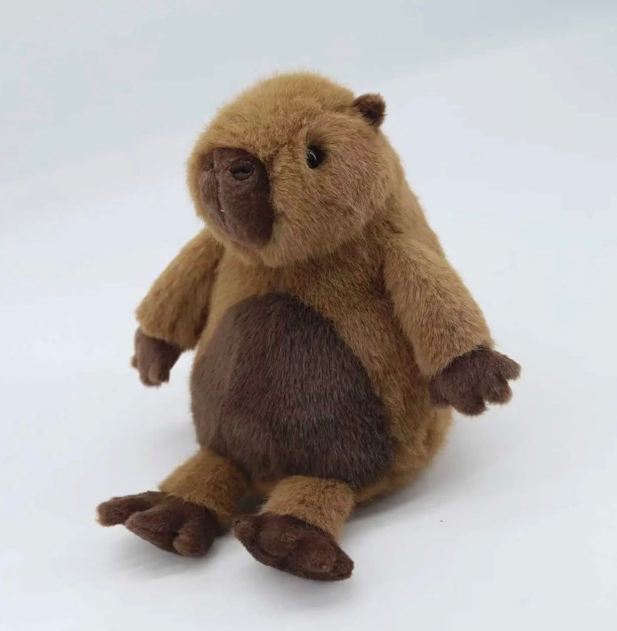 Capybara super soft toy plushie 20cm