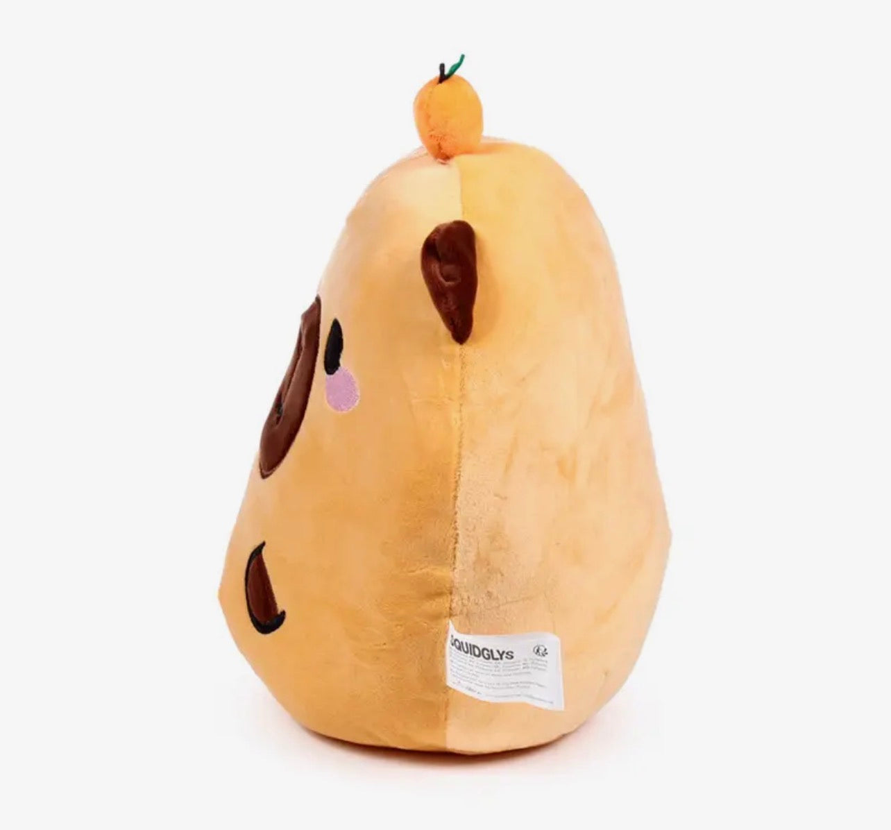 Squidgy Capybara Plush Toy – 26cm