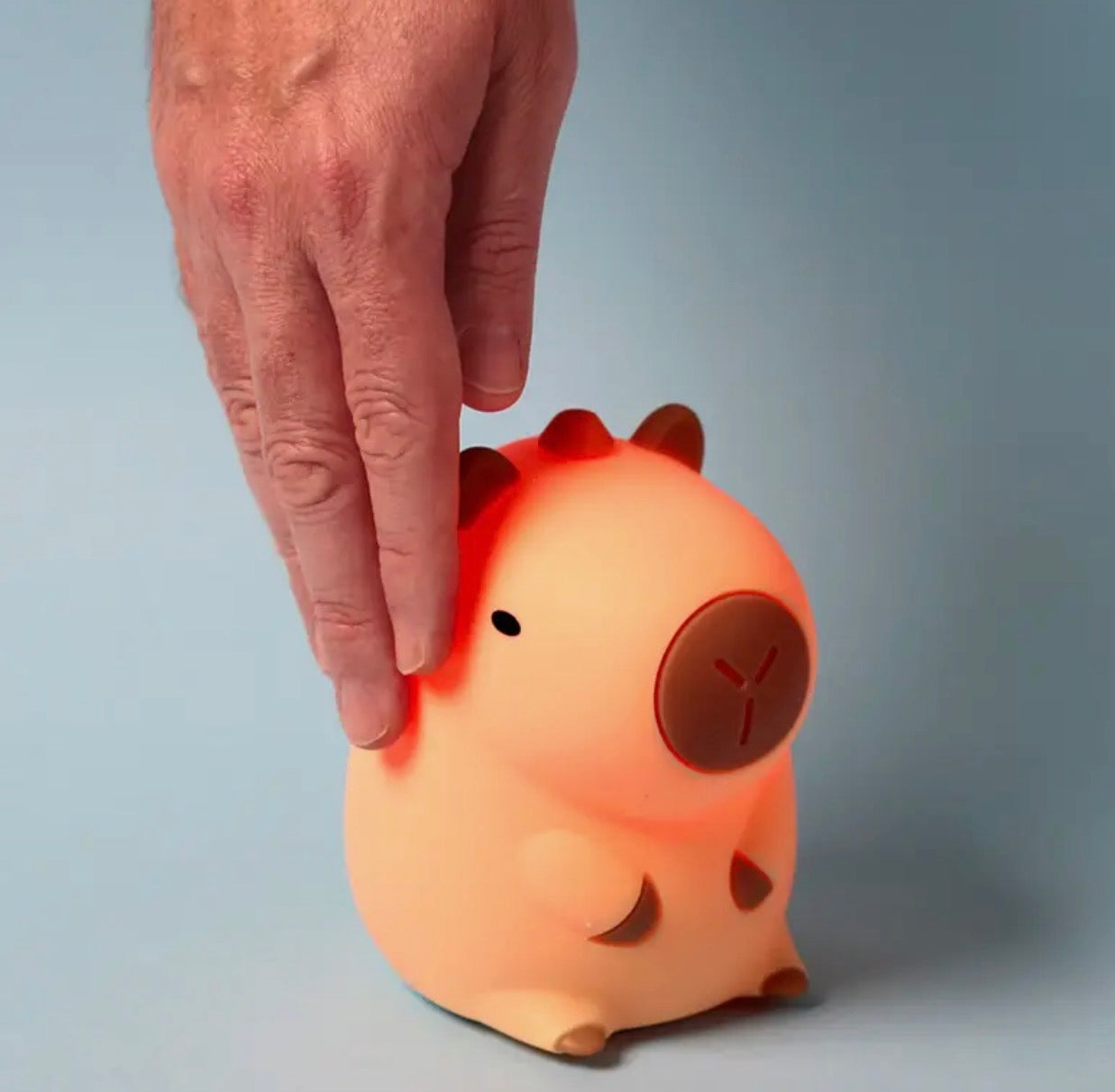 Capybara LED Colour Changing Night Light – USB Rechargeable