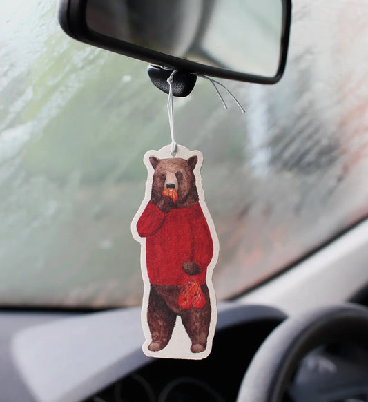 Air freshener for Car or Home