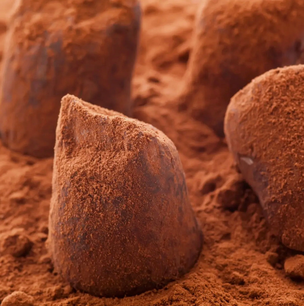 Chocolate Truffles - hazelnut crunch